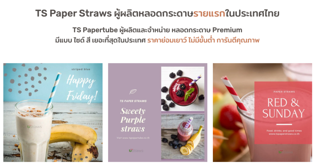 ตัวอย่างการแนะนำตัวของเว็บขายของ- ร้าน tspaperstraws.com