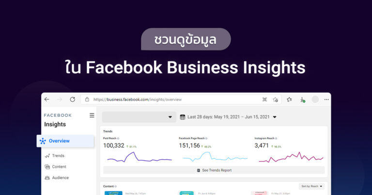 Business Insights