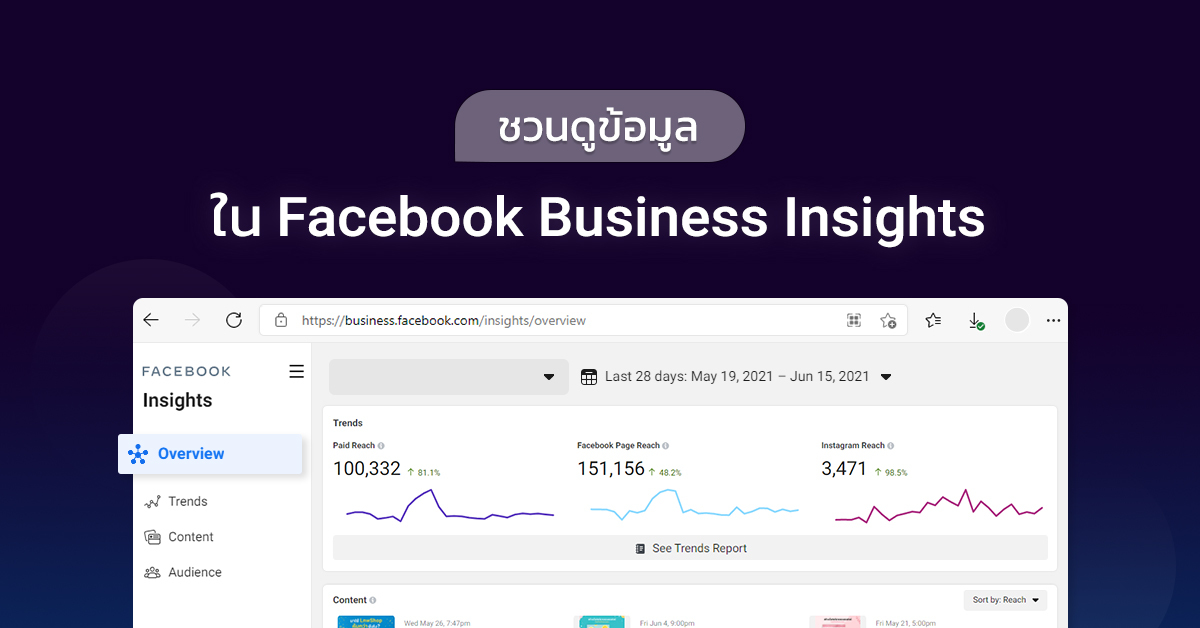 Business Insights